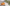 Texture gel Rame attivo Biomed senza packshot