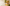 Copertina editoriale Biomed per Bromelina drenaggio cosmetico corpo