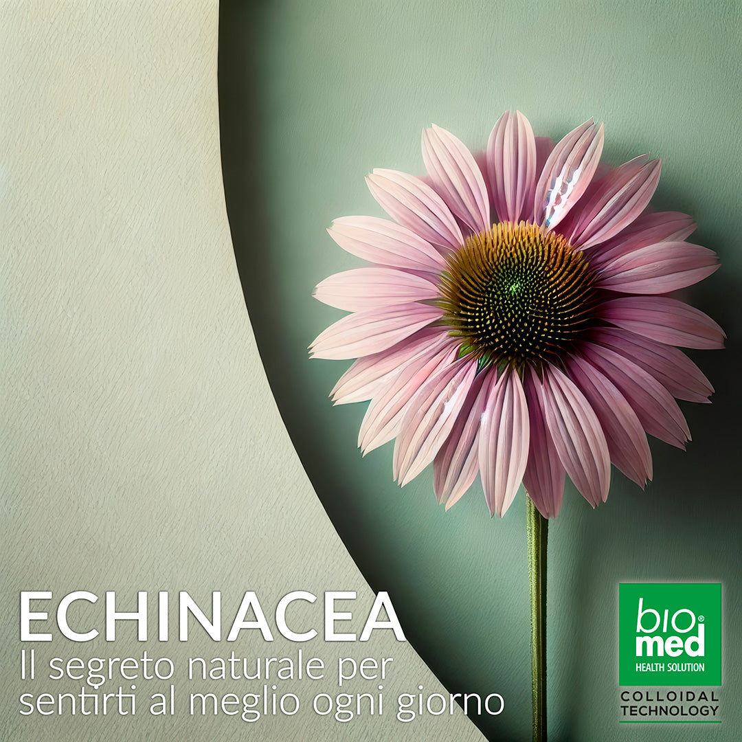 NUOVA Echinacea Il Segreto Naturale per Sentirti al Meglio Ogni Giorno