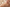 Piccola quantità di siero distribuita sulla mano per osservarne la texture