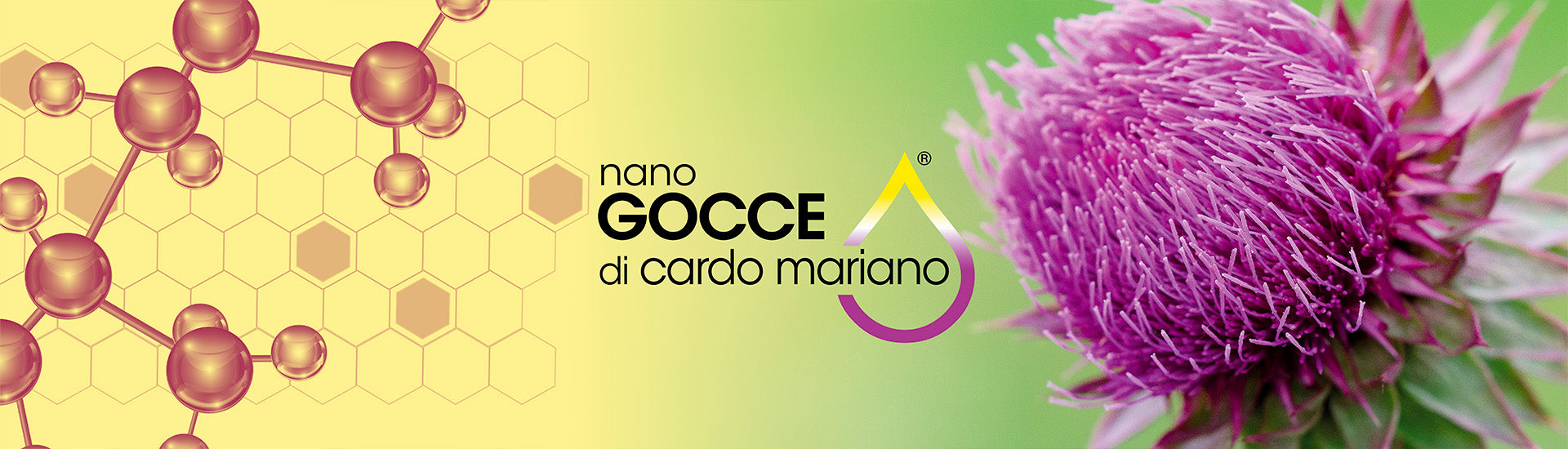 Esclusivo CARDO MARIANO COLLOIDALE - Integratore Colloidale Puro - Nano Gocce BIOMED 1000 ppm