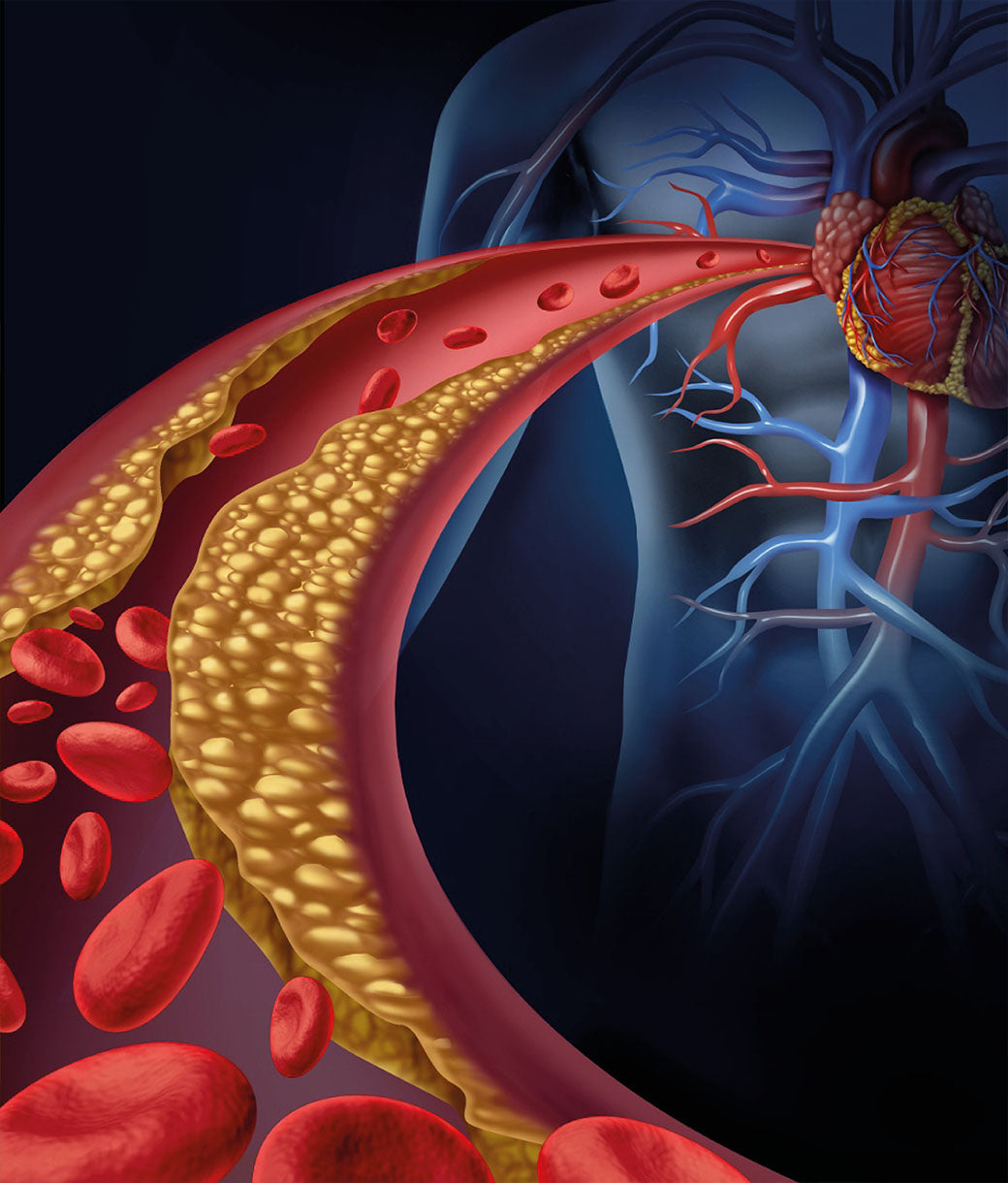 Inmunoestimulante que fluidifica, VITAMINA E COLOIDAL - Suplemento en Spray Coloidal Puro - BIOMED Nano Drops 700 ppm