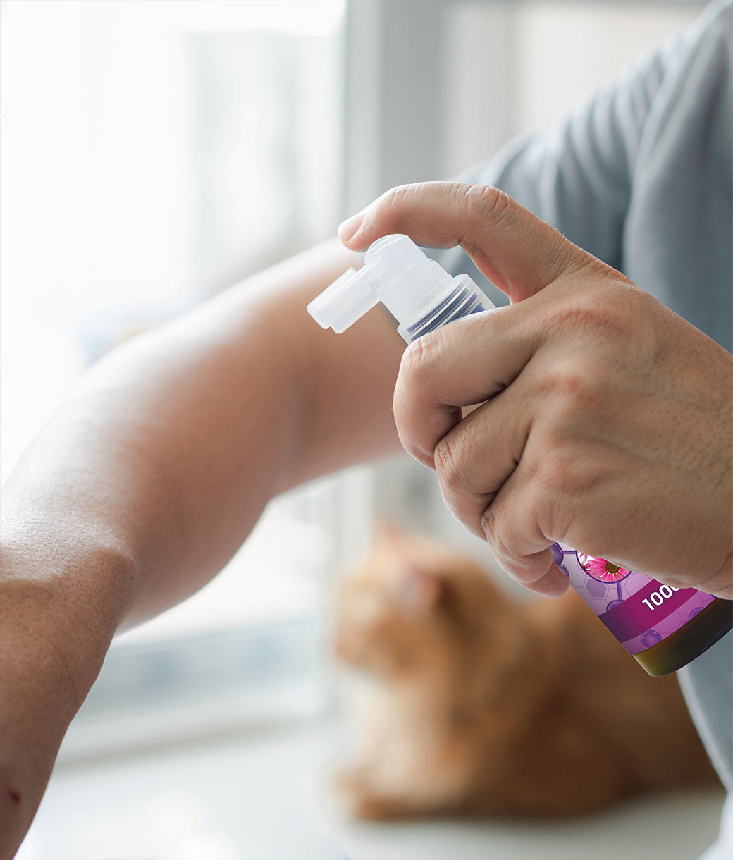 También diseñado para quienes no pueden tomar equinácea ECHINACEA COLLOIDALE - Suplemento coloidal puro - Nano Drops BIOMED 1000 ppm