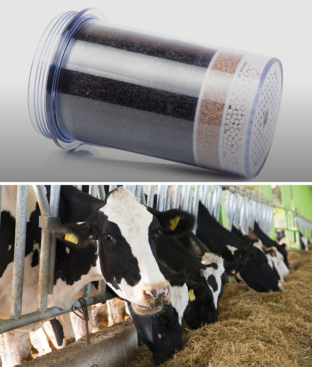 Protege el organismo de los daños del tabaco, el alcohol, el estrés y la contaminación ambiental, ZEOLITA ULTRAFINA+ ACTIVADA - BIOMED - PURA Y REMINERALIZA