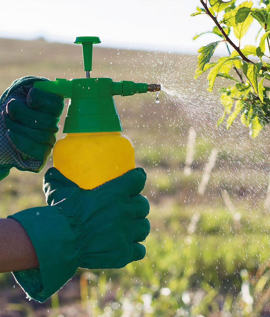 Spray ad uso Botanico per Alberi, Fiori e Piante ARGENTO COLLOIDALE - Integratore Colloidale Puro Spray - Nano Gocce BIOMED 20 ppm