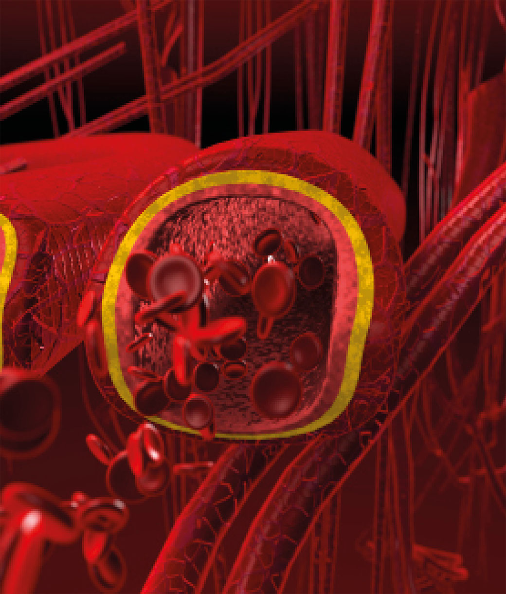 Estimula la absorción de minerales, VITAMINA D COLOIDAL - Suplemento en Spray Coloidal Puro - Nano Drops BIOMED 1100 ppm