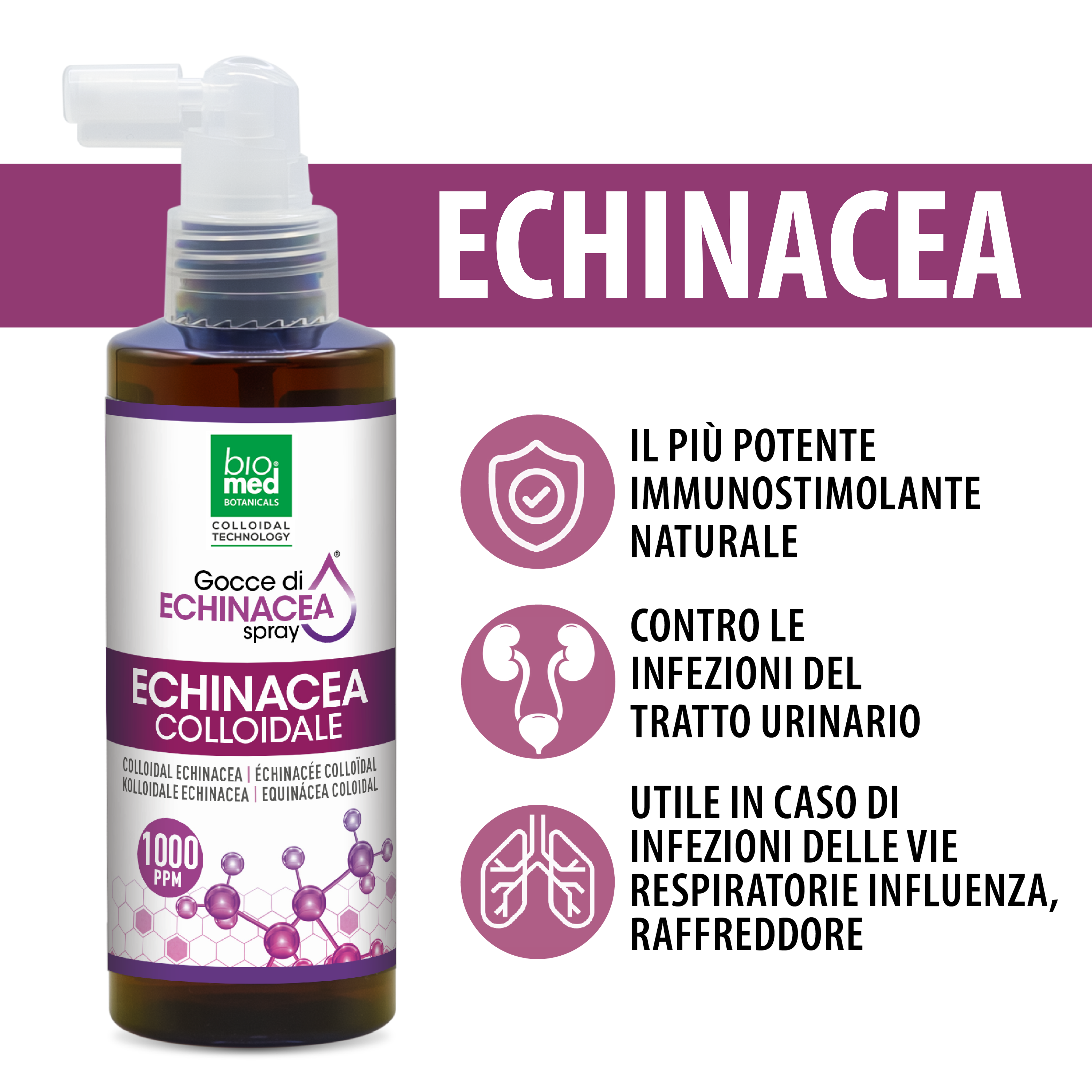 Echinacea colloidale spray sublinguale 1000 ppm - 150 ml - Biomed Colloidali - Sito Ufficiale - Acquista quì i tuoi colloidali Spray
