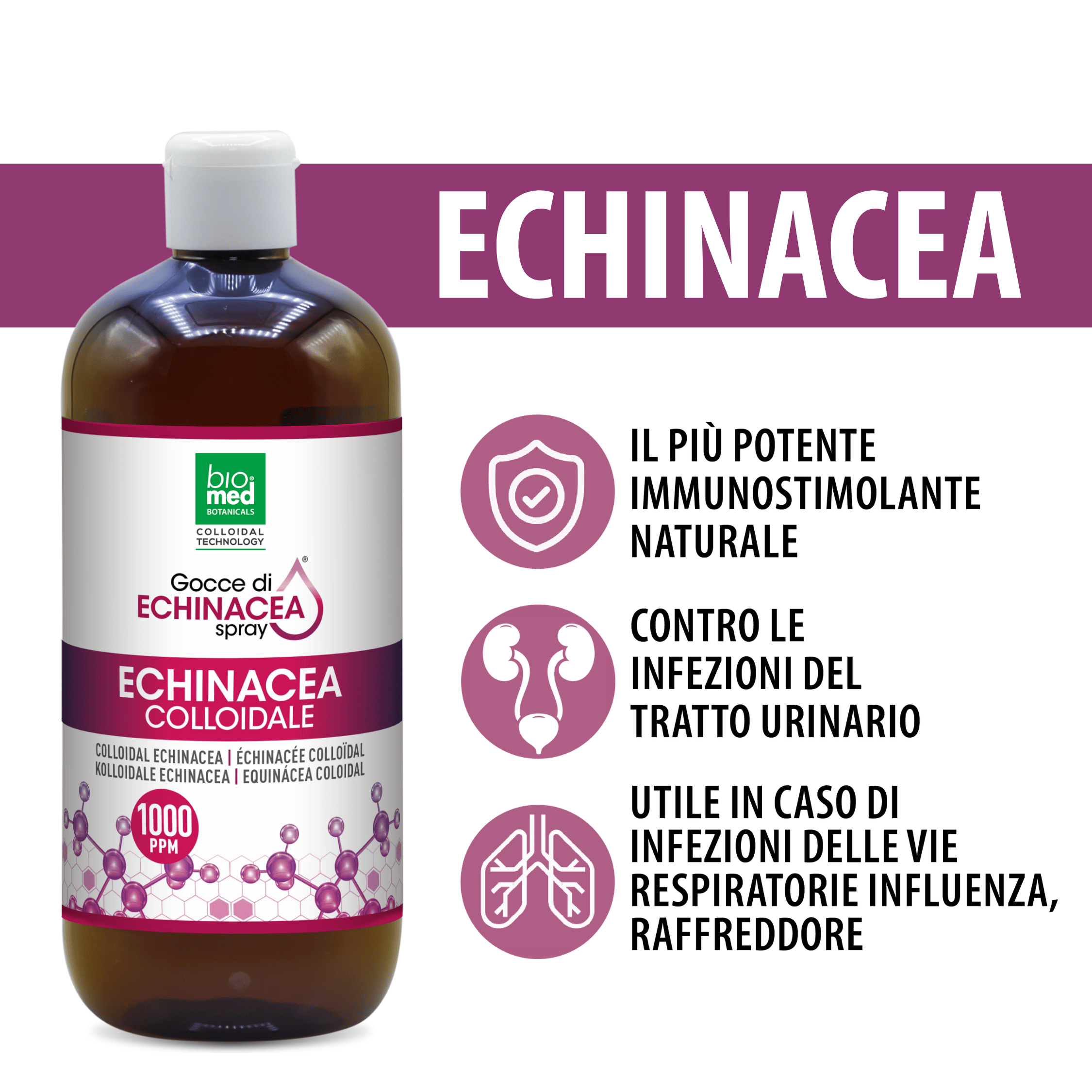 Echinacea colloidale spray sublinguale 1000 ppm - 500 ml - Biomed Colloidali - Sito Ufficiale - Acquista quì i tuoi colloidali Spray